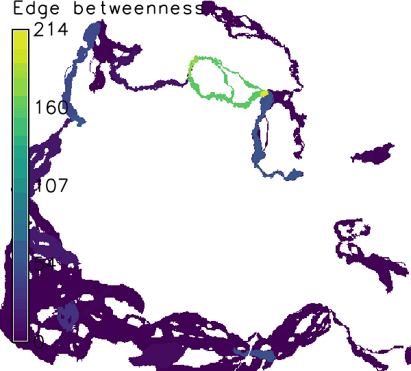 Corridors computed for connections on the minimum spanning tree 
weighted by edge betweenness in the example above.